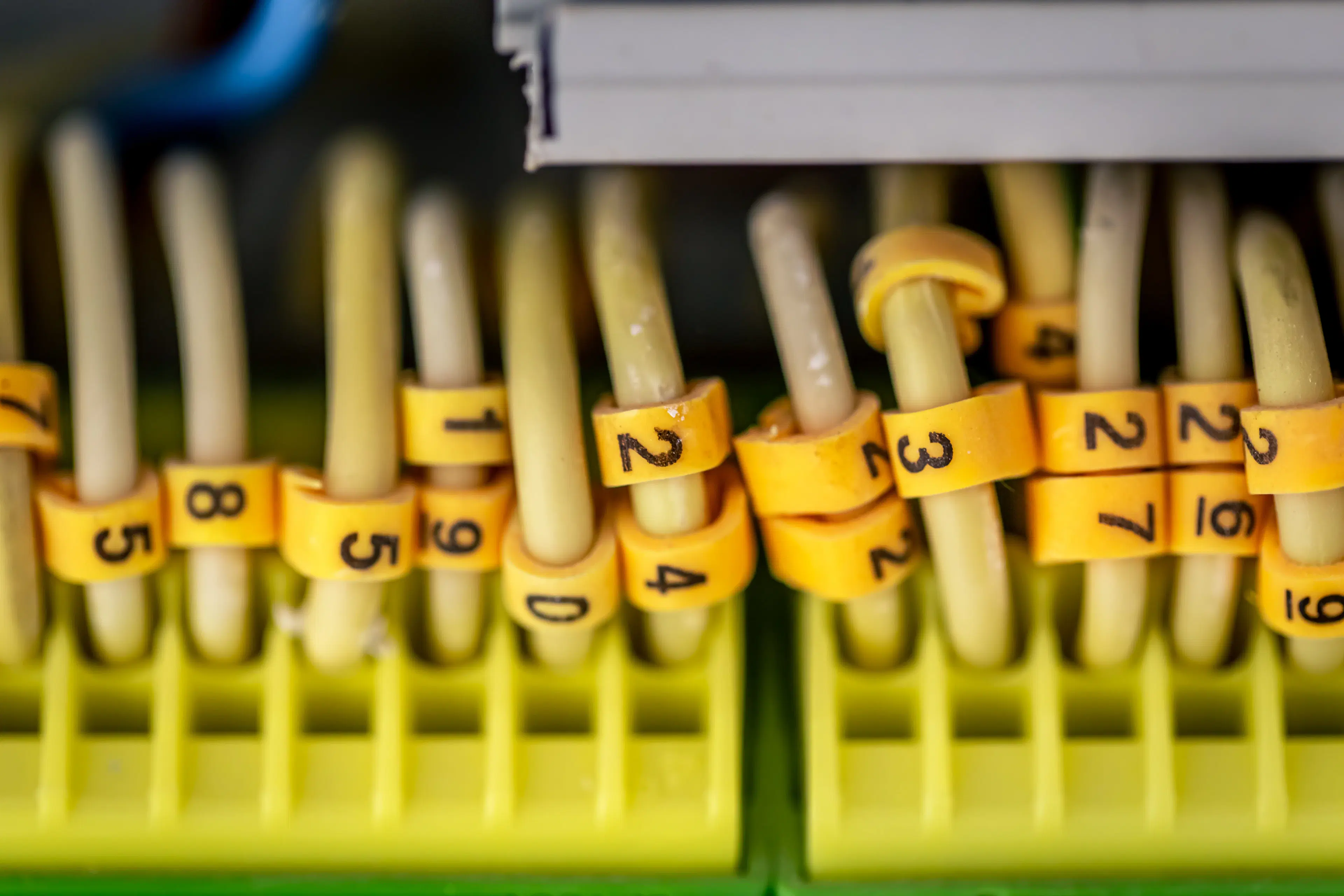 Cable Labeling